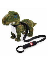 Pitter Patter Pets Dancing Dinosaur (3+ Yrs)  Adomoo